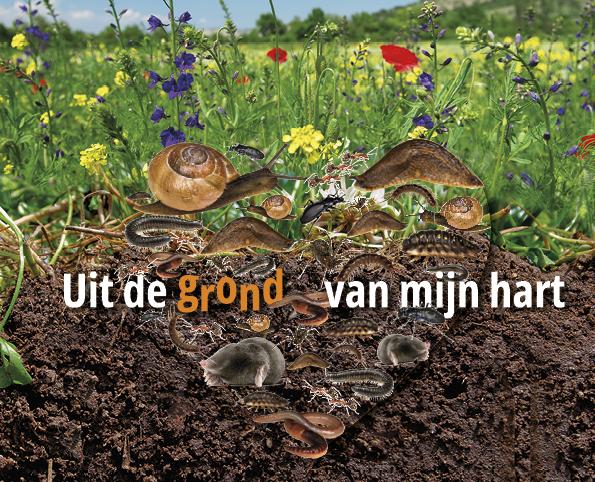 bodemdierendagen