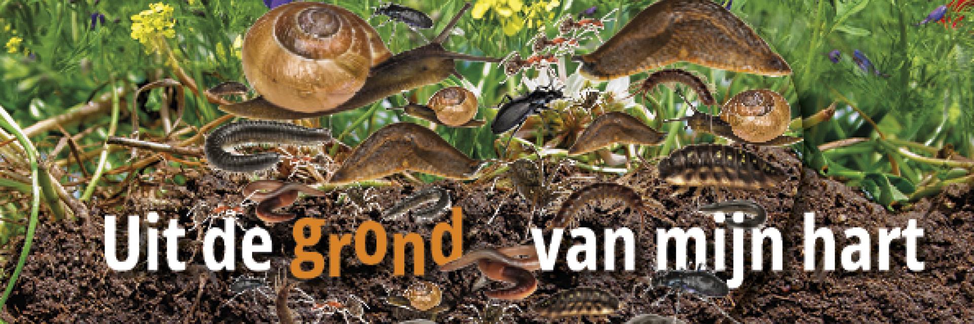 bodemdierendagen